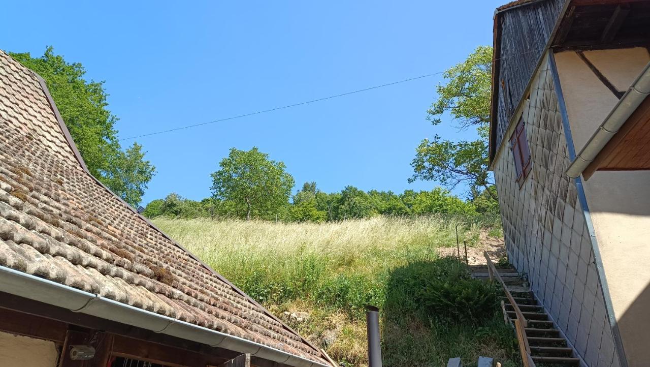 Studio A Murbach Au Calme Exterior photo