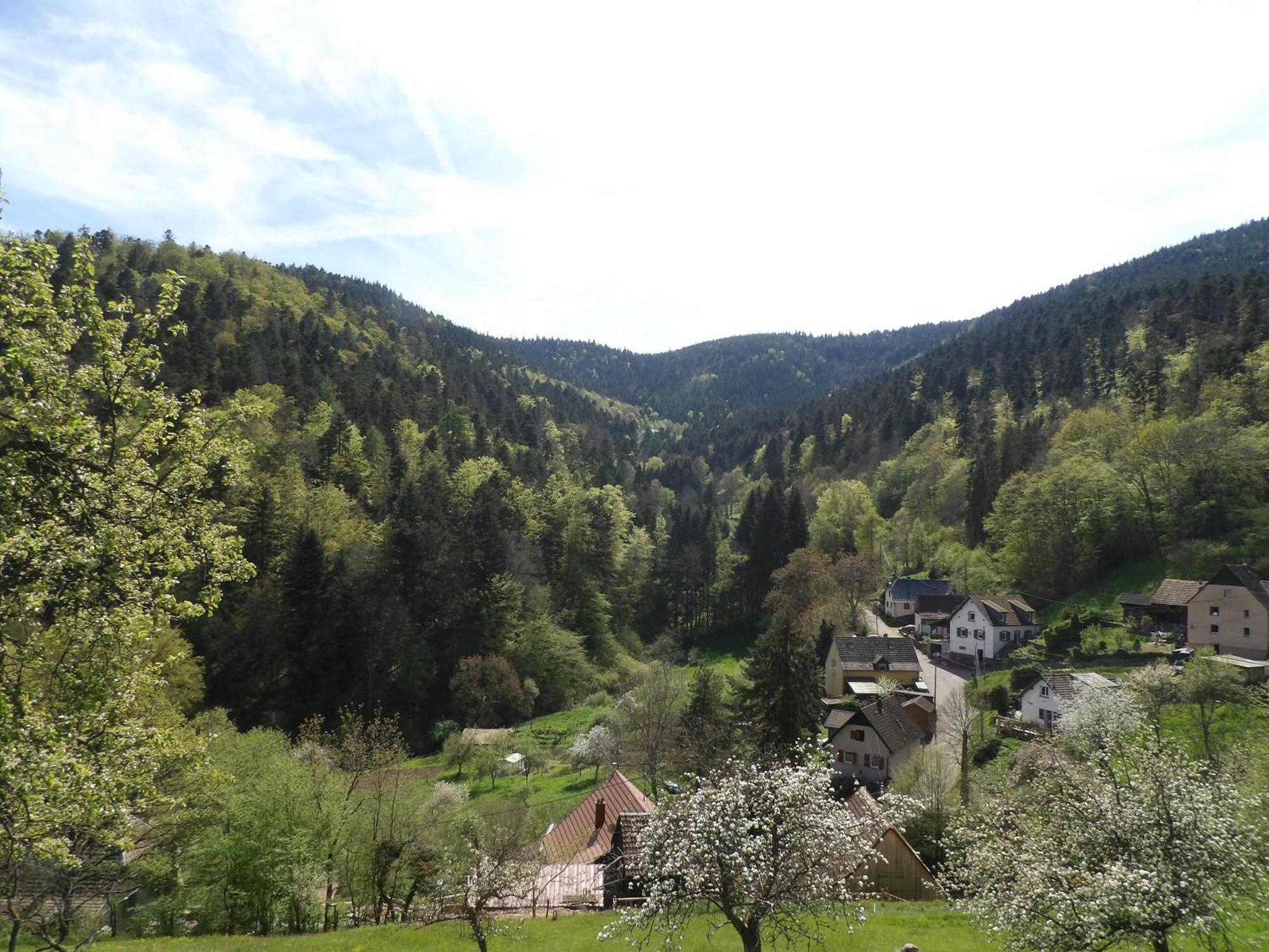 Studio A Murbach Au Calme Exterior photo