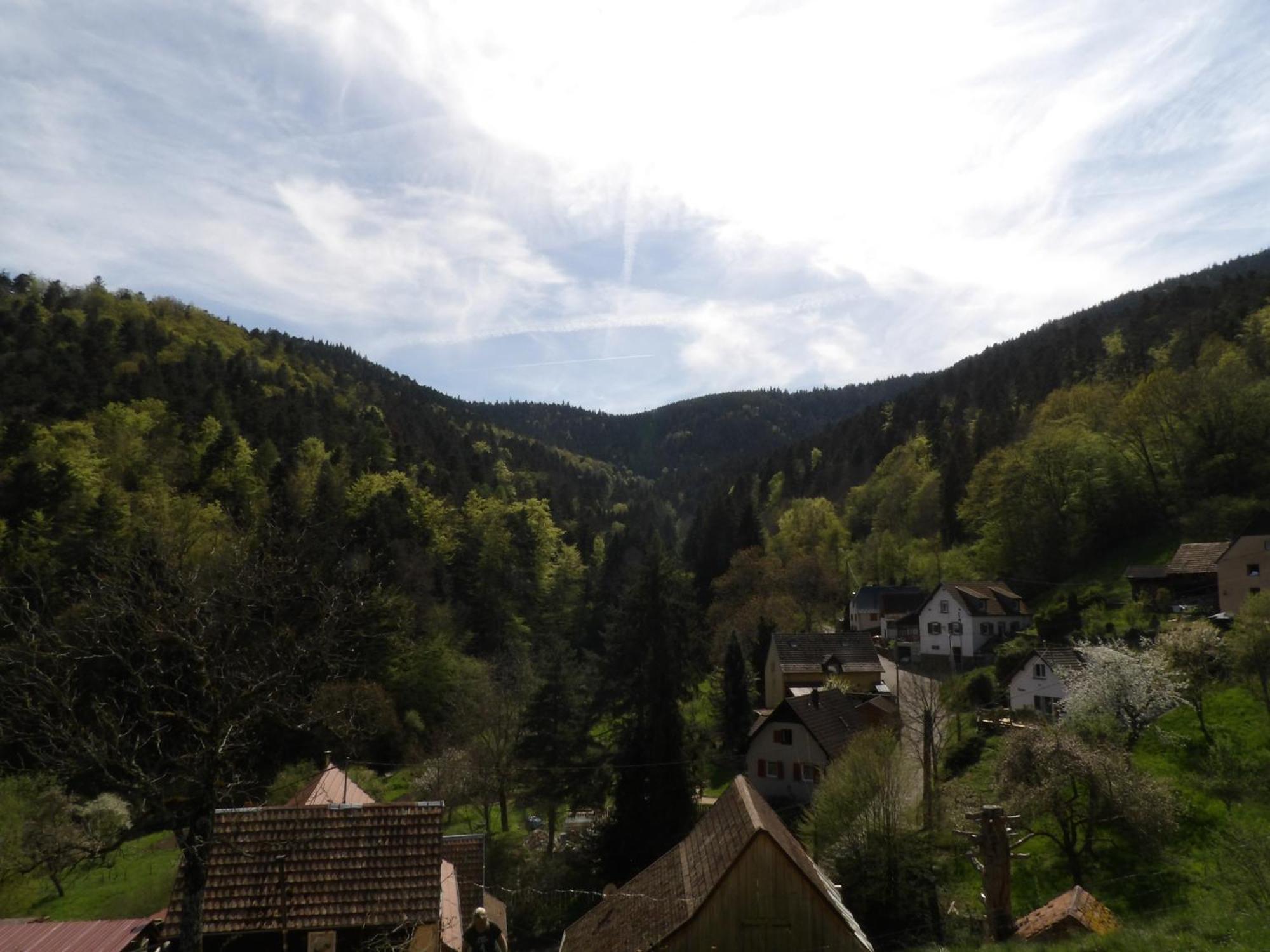 Studio A Murbach Au Calme Exterior photo